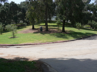 Enlarge photo 46