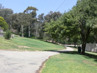 Enlarge photo 51