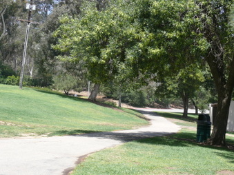 Enlarge photo 52
