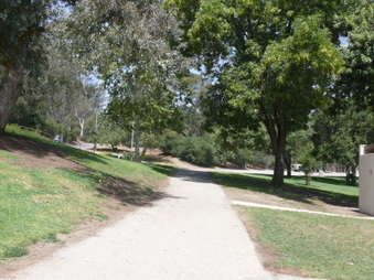 Enlarge photo 53