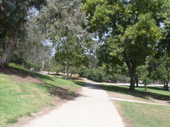Enlarge photo 54