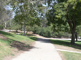 Enlarge photo 55
