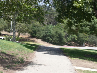 Enlarge photo 56