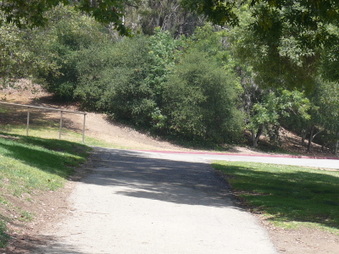 Enlarge photo 57