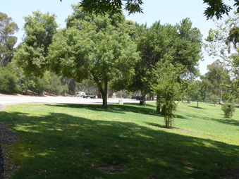 Enlarge photo 59