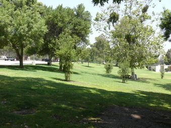 Enlarge photo 60