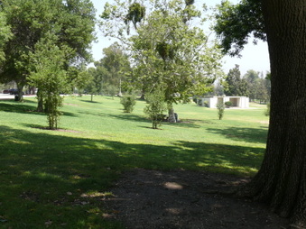 Enlarge photo 61