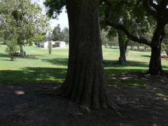 Enlarge photo 63