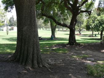 Enlarge photo 64