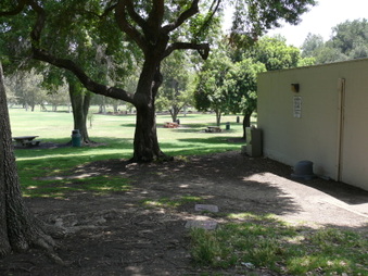 Enlarge photo 65