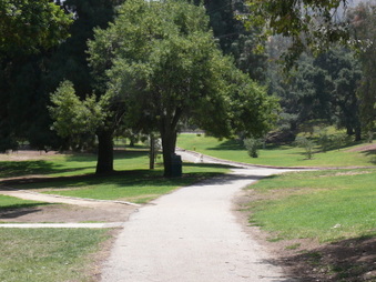 Enlarge photo 67