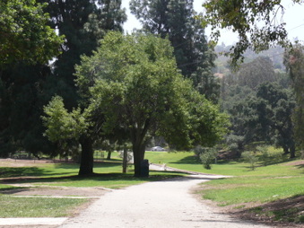 Enlarge photo 68