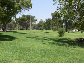 Enlarge photo 69