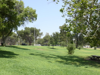 Enlarge photo 70