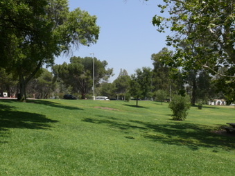 Enlarge photo 71