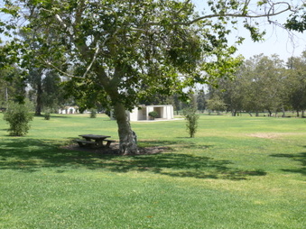 Enlarge photo 72
