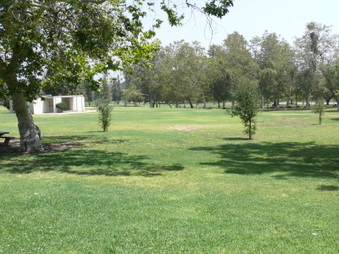 Enlarge photo 73