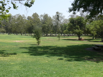 Enlarge photo 74