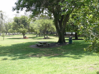 Enlarge photo 76