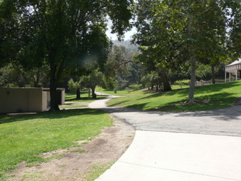 Enlarge photo 78