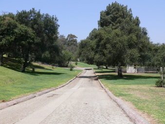 Enlarge photo 81