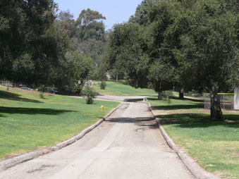 Enlarge photo 82