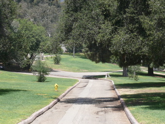 Enlarge photo 83