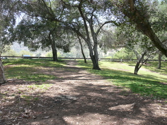 Enlarge photo 87