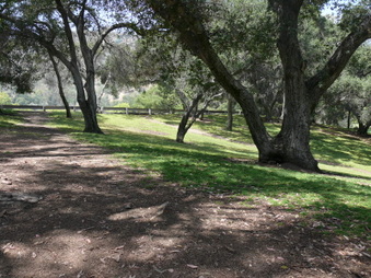 Enlarge photo 88
