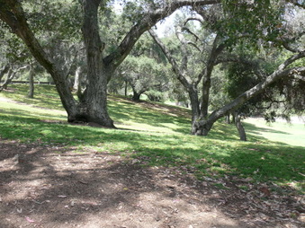 Enlarge photo 89