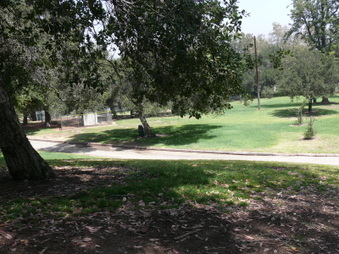 Enlarge photo 91