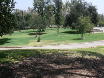 Enlarge photo 92