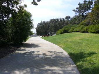 Enlarge photo 17