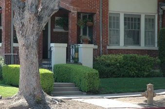 Enlarge photo 13