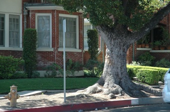 Enlarge photo 14