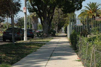 Enlarge photo 16