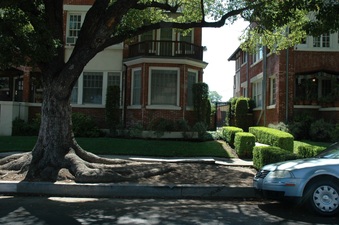 Enlarge photo 19
