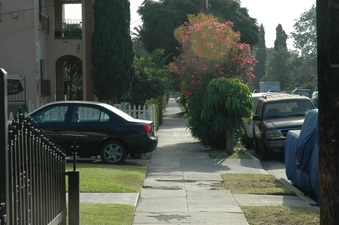 Enlarge photo 18