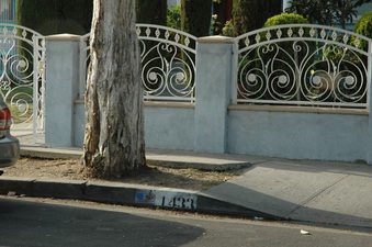 Enlarge photo 26
