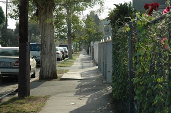 Enlarge photo 16