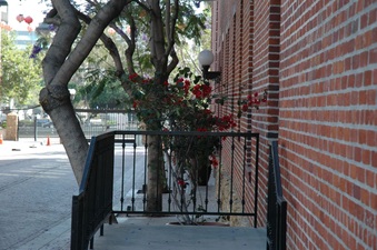 Enlarge photo 16
