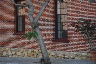 Enlarge photo 22