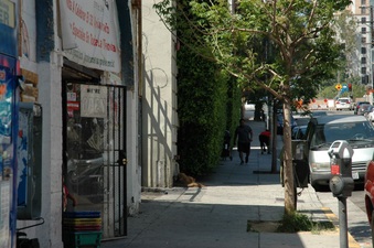 Enlarge photo 6