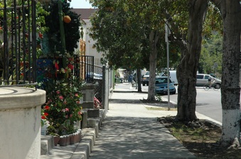 Enlarge photo 54