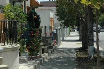 Enlarge photo 55