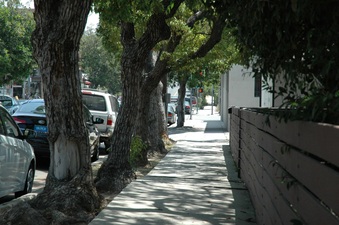 Enlarge photo 56