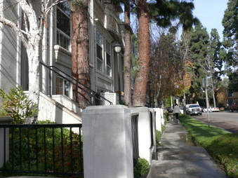 Enlarge photo 25