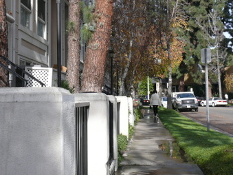 Enlarge photo 26
