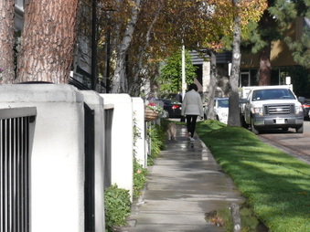 Enlarge photo 27