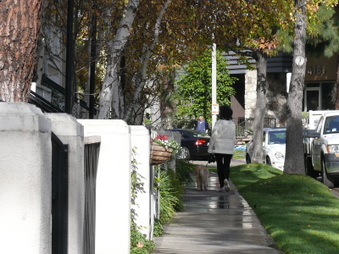Enlarge photo 28